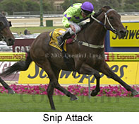 Snip Attack (15718 bytes)