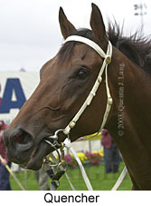 Quencher (11993 bytes)