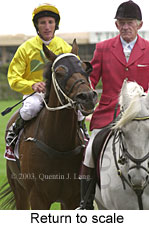 Return to scale (13666 bytes)