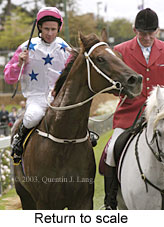 Return to scale (15766 bytes)