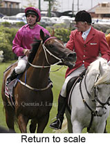 Return to scale (15146 bytes)