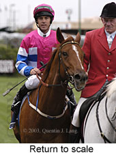 Return to scale (15545 bytes)