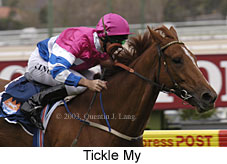 Tickle My (14274 bytes)