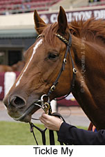 Tickle My (12467 bytes)