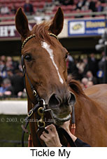 Tickle My (12943 bytes)