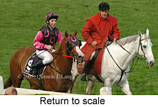 return to scale (18294 bytes)