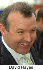 David Hayes (18294 bytes)
