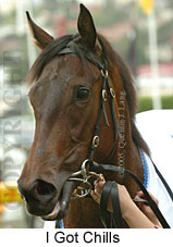 I Got Chills (18294 bytes)