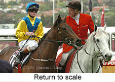 return to scale (18294 bytes)