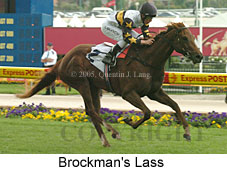 Brockman's Lass (18294 bytes)