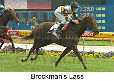 Brockman's Lass (18294 bytes)