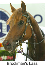 Brockman's Lass (18294 bytes)