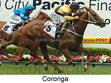 Coronga (18294 bytes)