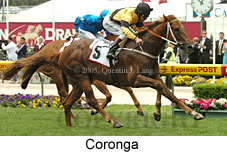 Coronga (18294 bytes)