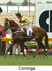 Coronga (18294 bytes)