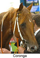 Coronga (18294 bytes)