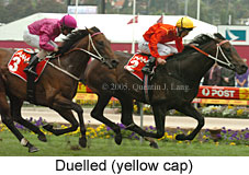 Duelled (18294 bytes)