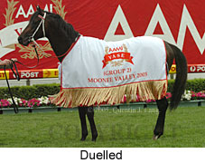 Duelled (18294 bytes)