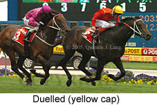 Duelled (18294 bytes)