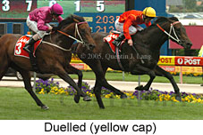 Duelled (18294 bytes)