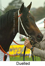 Duelled (18294 bytes)