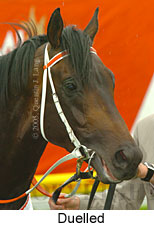 Duelled (18294 bytes)