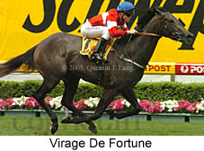 Virage De Fortune (18294 bytes)