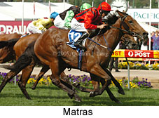 Matras (18294 bytes)