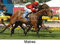 Matras (18294 bytes)