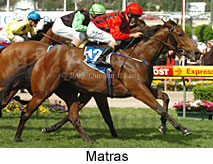 Matras (18294 bytes)