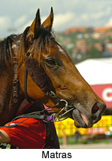 Matras (18294 bytes)