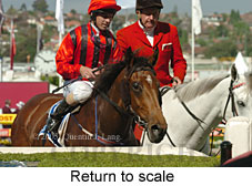 return to scale (18294 bytes)