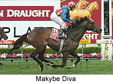 Makybe Diva (18294 bytes)