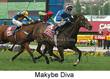 Makybe Diva (18294 bytes)