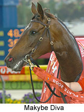 Makybe Diva (18294 bytes)