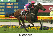 Niconero (18294 bytes)