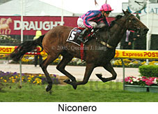 Niconero (18294 bytes)