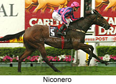 Niconero (18294 bytes)