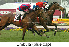 Umbula (18294 bytes)