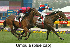 Umbula (18294 bytes)