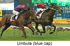 Umbula (18294 bytes)