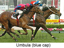 Umbula (18294 bytes)