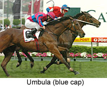 Umbula (18294 bytes)