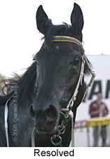 Resolved (9371 bytes)