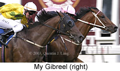 My Gibreel (14636 bytes)