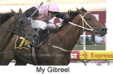 My Gibreel (13256 bytes)