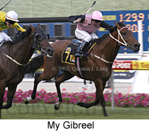 My Gibreel (17357 bytes)