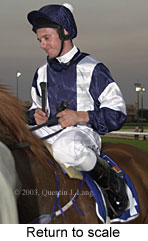 Return to scale (12025 bytes)