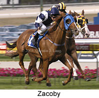 Zacoby (16820 bytes)