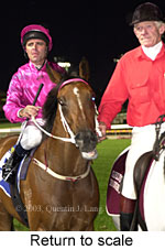 Return to scale (14152 bytes)